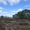 20130401 Appelscha, Kale Duinen