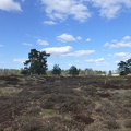 20130401  Appelscha, Kale Duinen