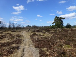 20130401  Appelscha, Kale Duinen