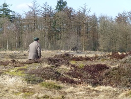20130401  Appelscha, Kale Duinen
