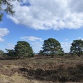 20130401 Appelscha, Kale Duinen