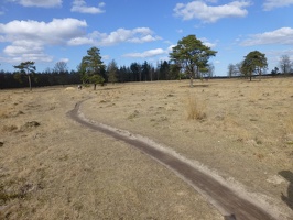 20130401 Appelscha, Kale Duinen