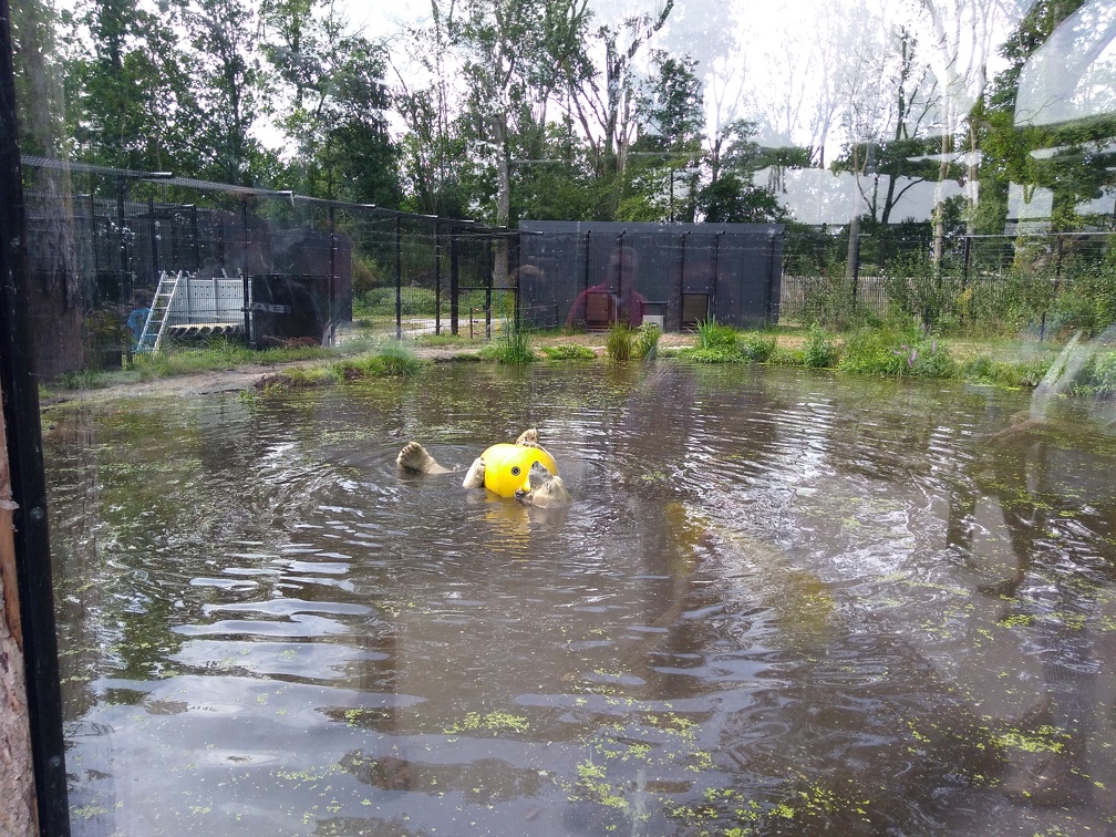 20180711_152601.jpg