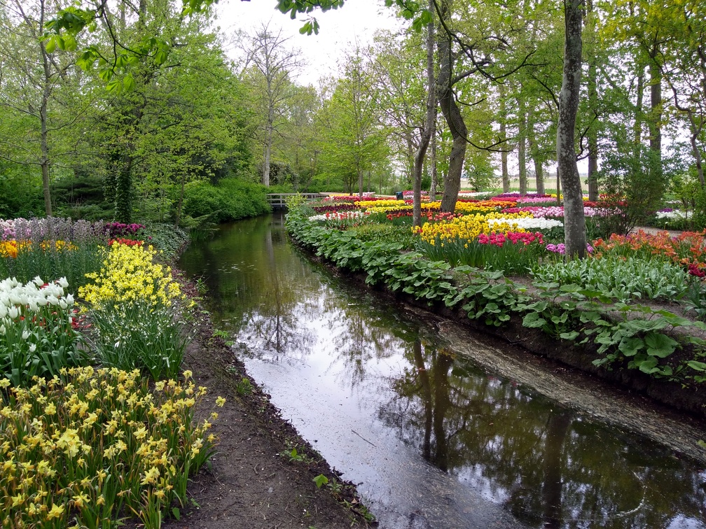 20190429_171054.jpg