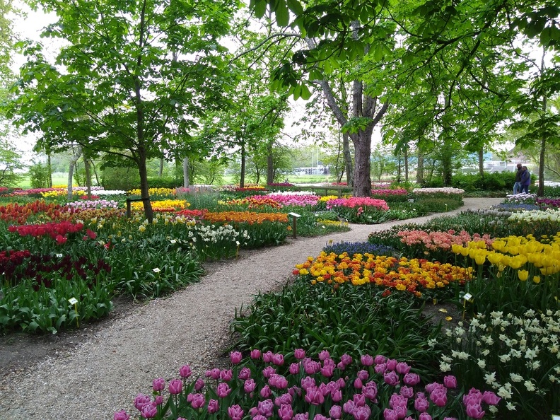 20190429_174428.jpg