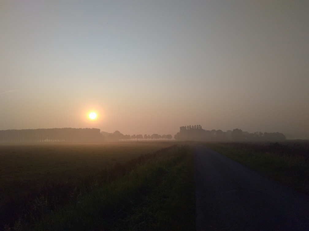 20190827_072038553.jpg