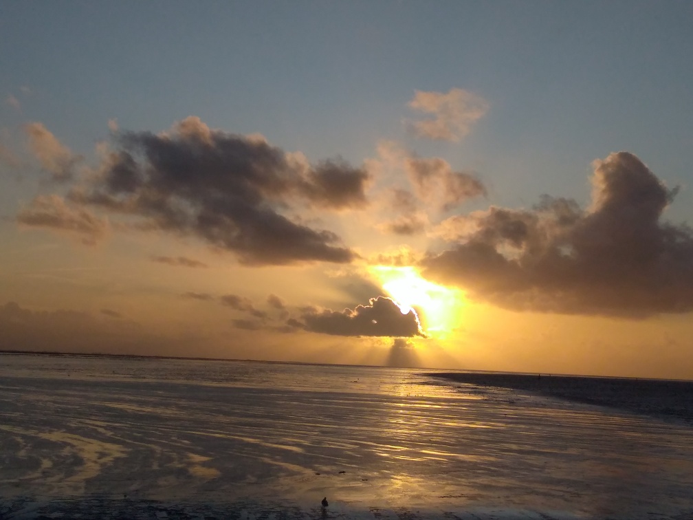 20191027_165248747.jpg