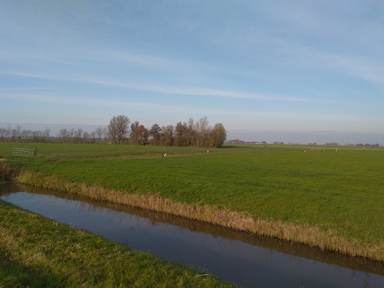 20191117_120847678.jpg